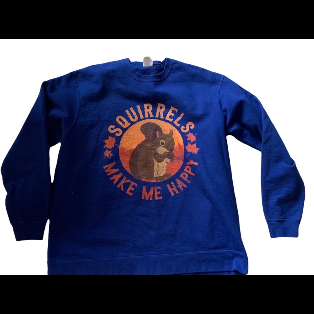 Port and company Graphic sweatshirt squirrels make me happy. Size extra large